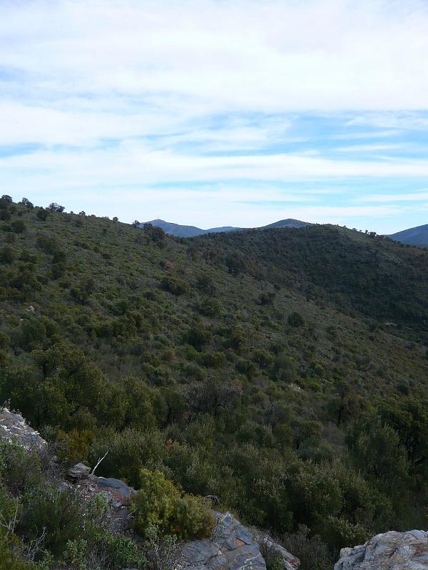pierrefeu (81).JPG